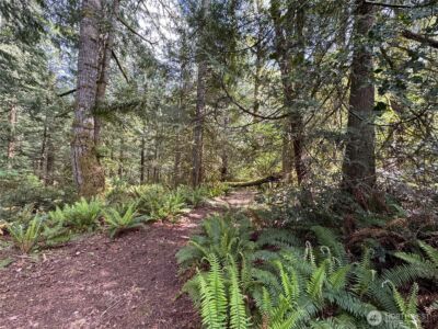 3021 NW Beth Lane , Poulsbo, WA 98370 - Photo 22
