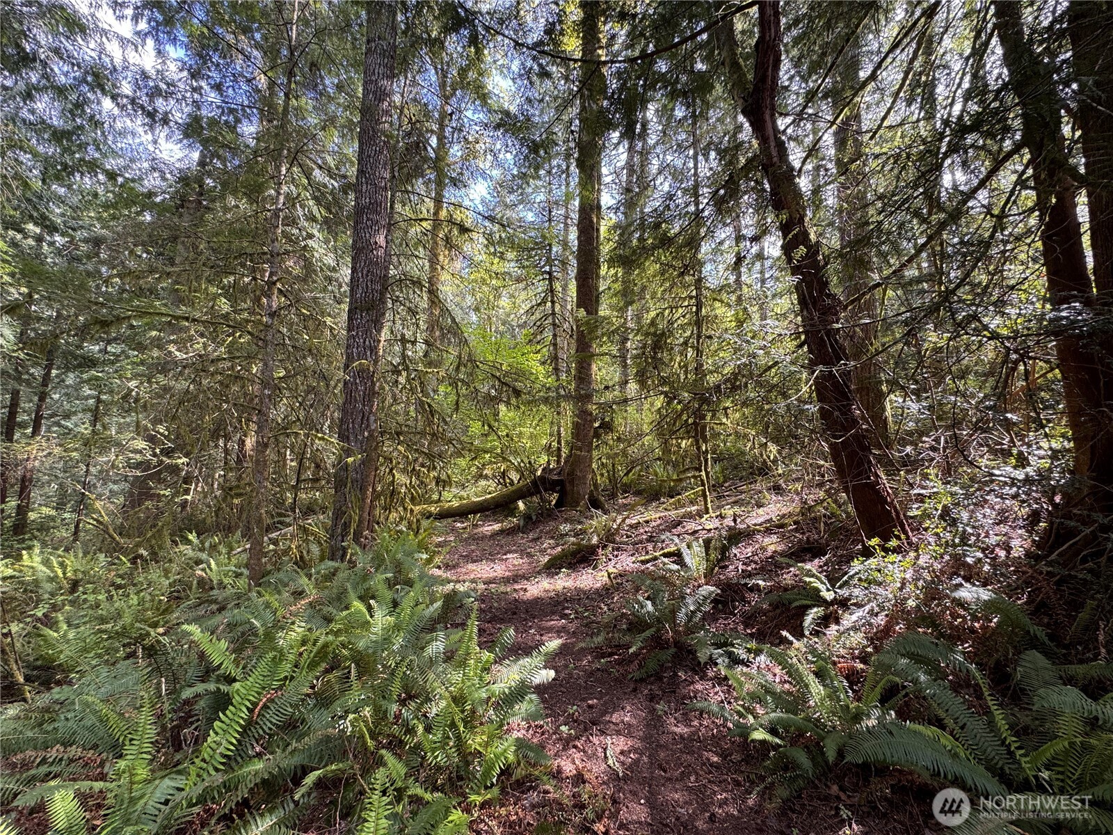3021 NW Beth Lane , Poulsbo, WA 98370