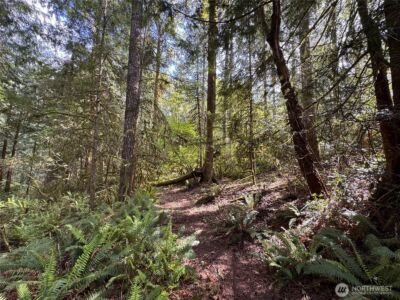 3021 NW Beth Lane , Poulsbo, WA 98370 - Photo 23