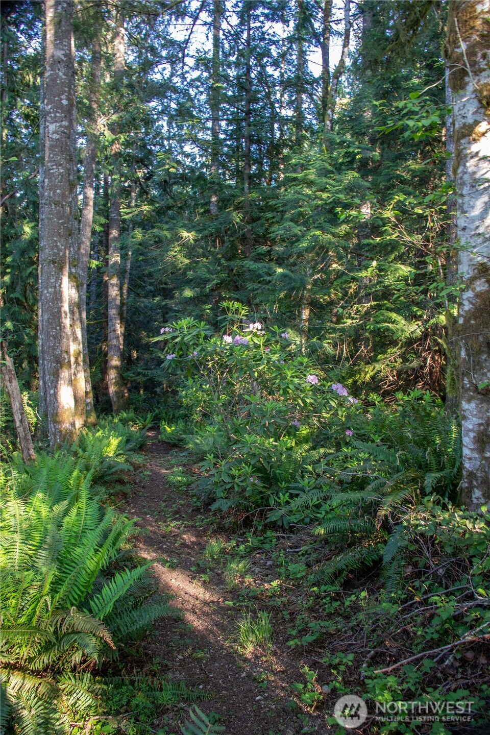 3021 NW Beth Lane , Poulsbo, WA 98370