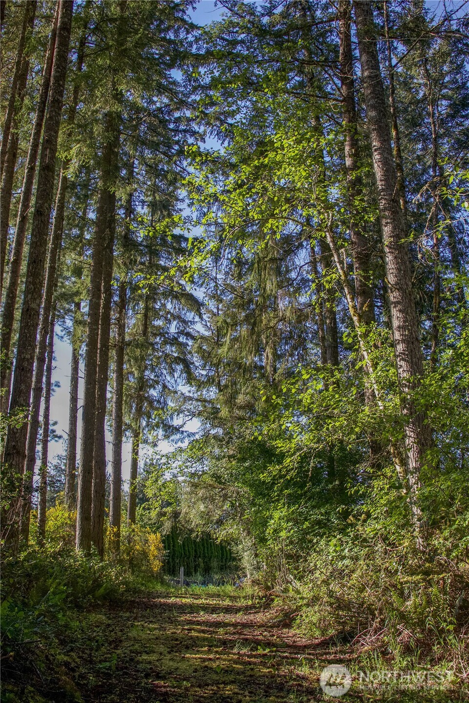 3021 NW Beth Lane , Poulsbo, WA 98370