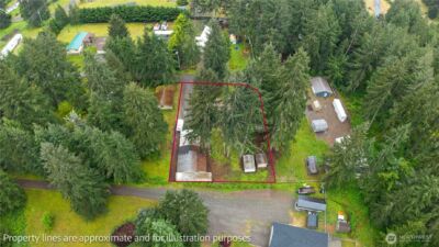 3019 227th Street E, Spanaway, WA 98387 - Photo 39
