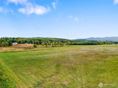 437 Ingalls Road , Rochester, WA 98579 - Photo 5