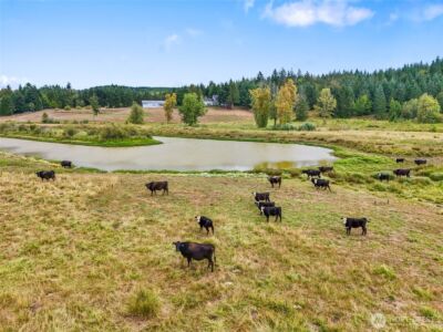 437 Ingalls Road , Rochester, WA 98579 - Photo 6