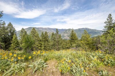 329 First Grade Road , Leavenworth, WA 98826 - Photo 18