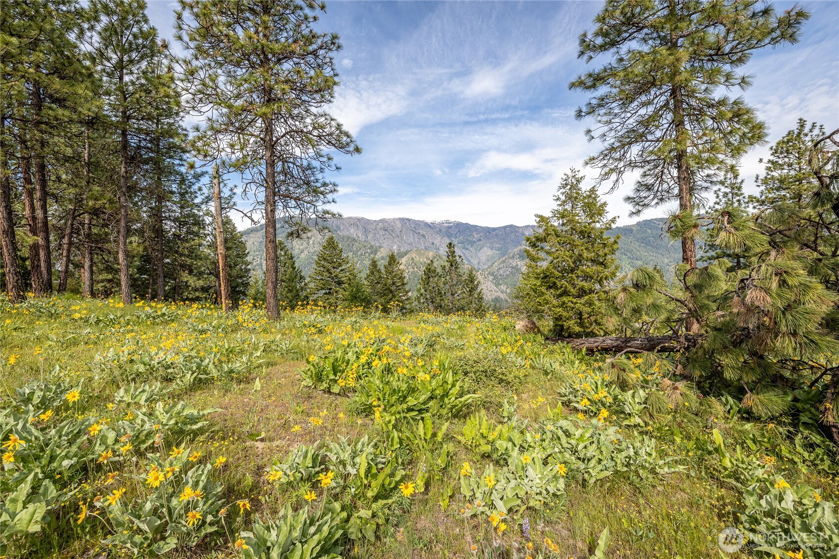 329 First Grade Road , Leavenworth, WA 98826