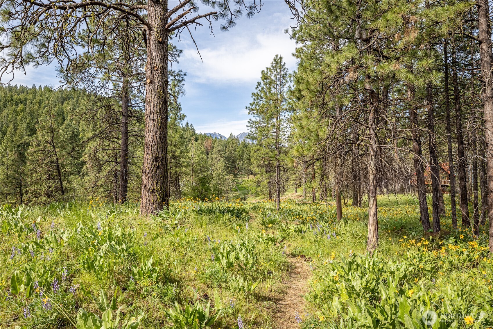 329 First Grade Road , Leavenworth, WA 98826
