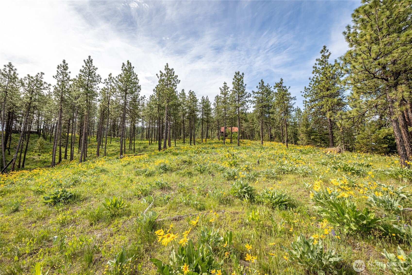 329 First Grade Road , Leavenworth, WA 98826