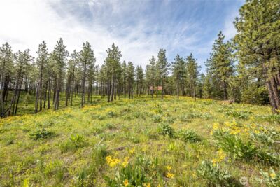 329 First Grade Road , Leavenworth, WA 98826 - Photo 22