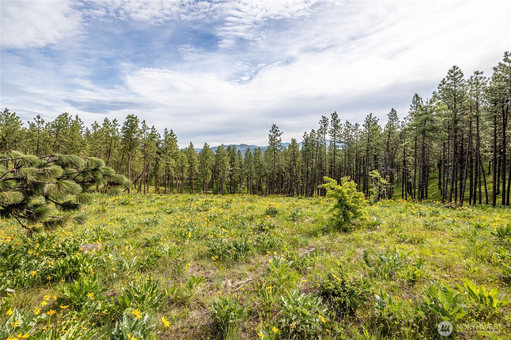 329 First Grade Road , Leavenworth, WA 98826