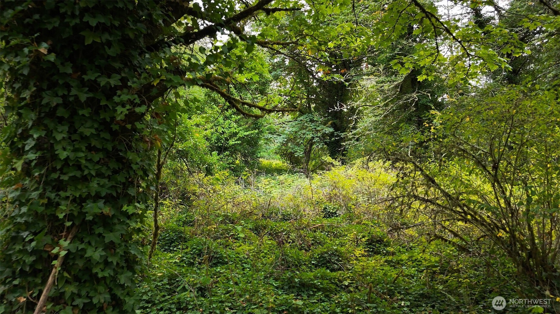 11000 xxx State Hwy 305 NE, Bainbridge Island, WA 98110