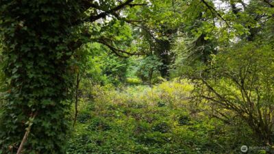 11000 xxx State Hwy 305 NE, Bainbridge Island, WA 98110 - Photo 12