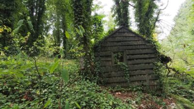 11000 xxx State Hwy 305 NE, Bainbridge Island, WA 98110 - Photo 10