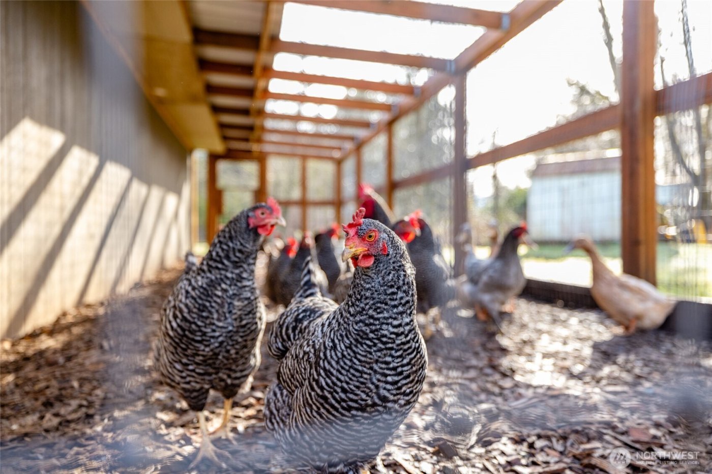 22398 Grip Road , Sedro Woolley, WA 98284