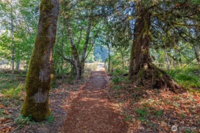 288 Baker Road , Packwood, WA 98377 - Photo 39