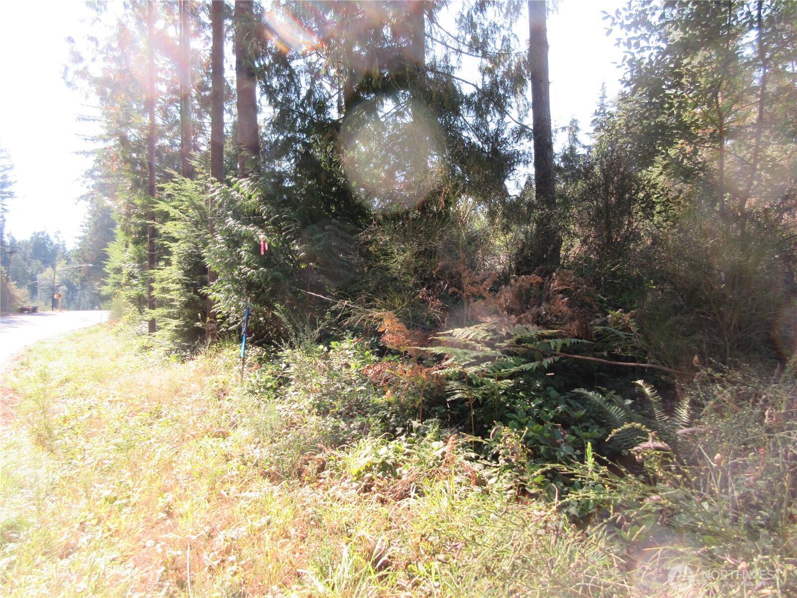 3 Holly Road NW, Bremerton, WA 98312