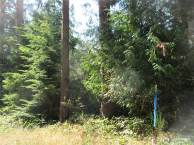 3 Holly Road NW, Bremerton, WA 98312 - Photo 8