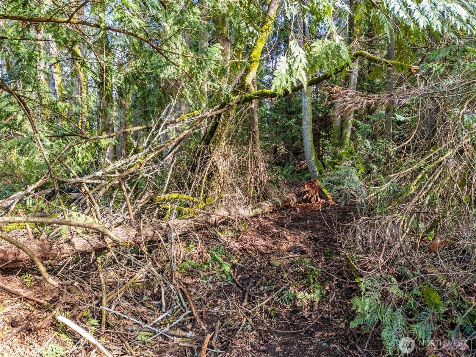 23400 Jefferson Point Road NE, Kingston, WA 98346
