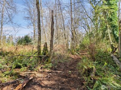23300 Jefferson Point Road NE, Kingston, WA 98346 - Photo 22
