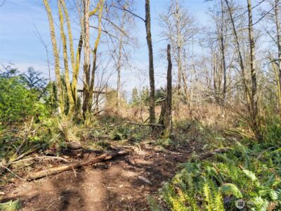 23300 Jefferson Point Road NE, Kingston, WA 98346 - Photo 23