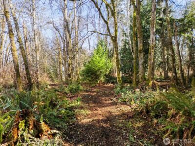 23300 Jefferson Point Road NE, Kingston, WA 98346 - Photo 24