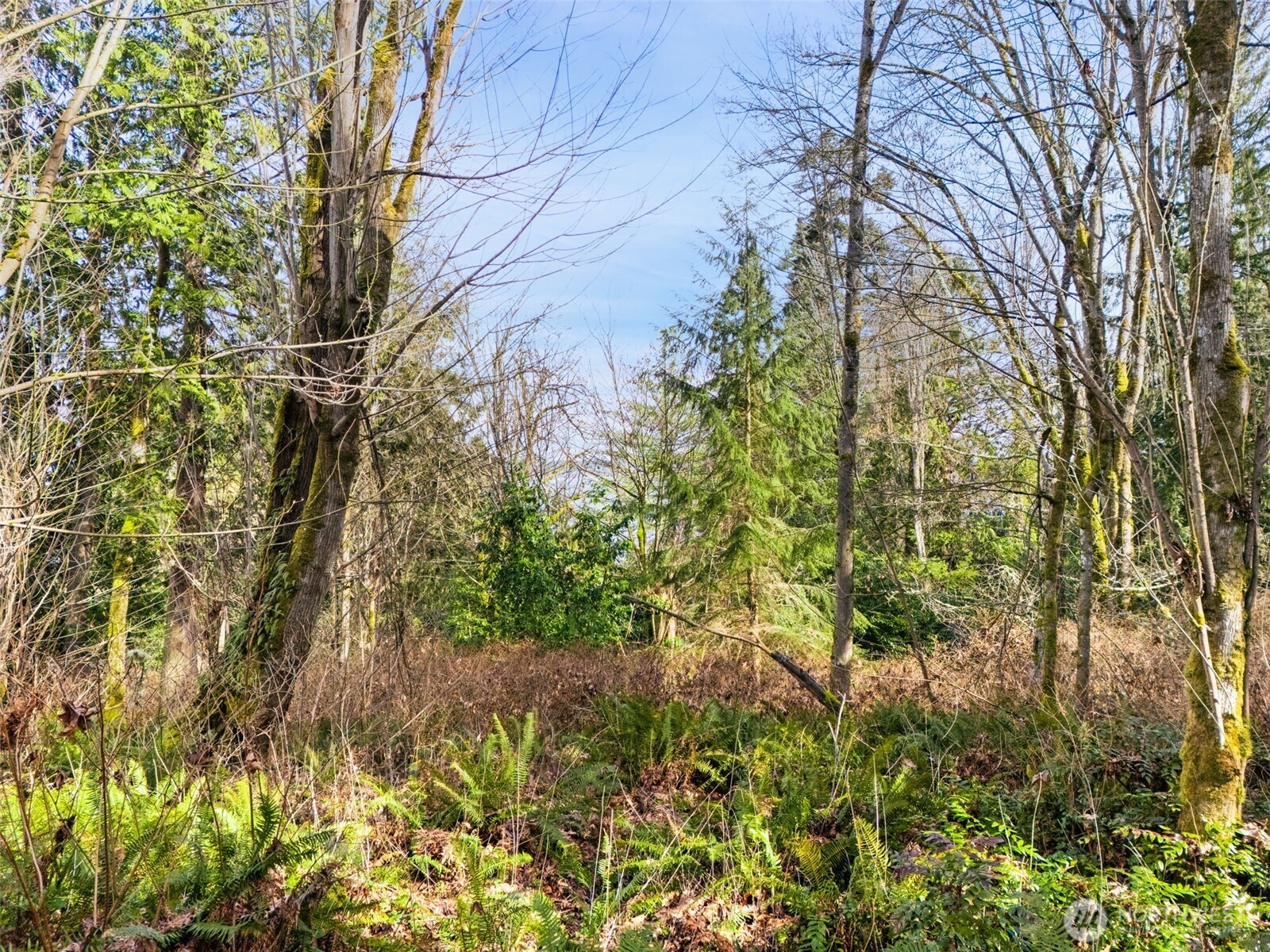 23300 Jefferson Point Road NE, Kingston, WA 98346