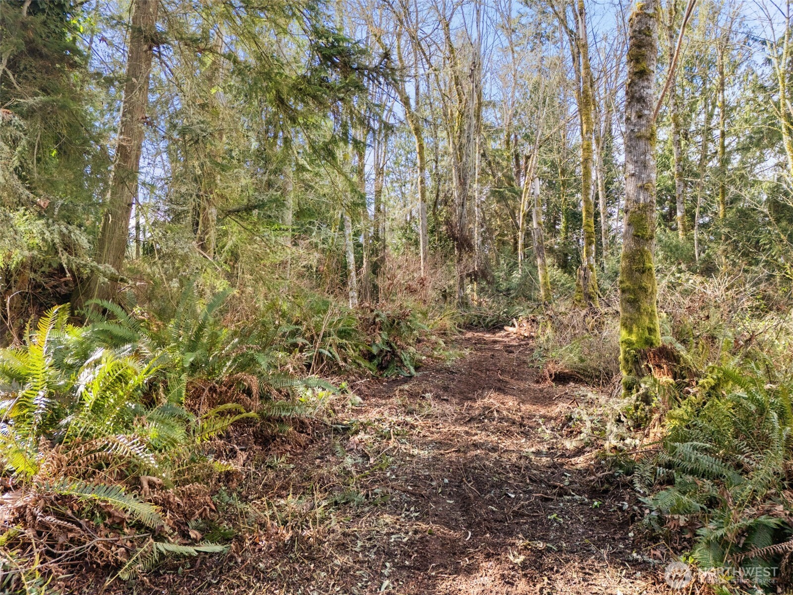 23300 Jefferson Point Road NE, Kingston, WA 98346