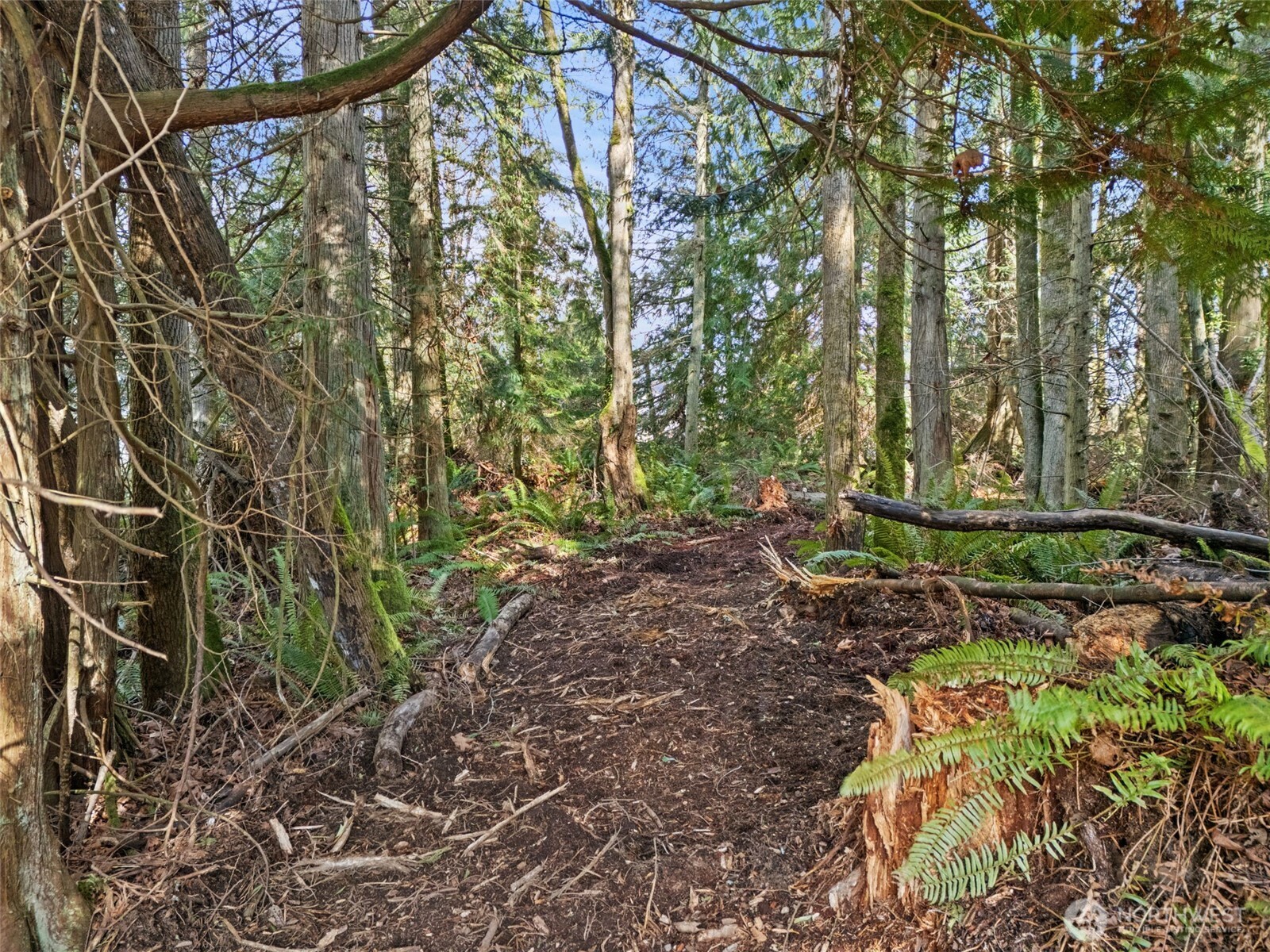 23300 Jefferson Point Road NE, Kingston, WA 98346