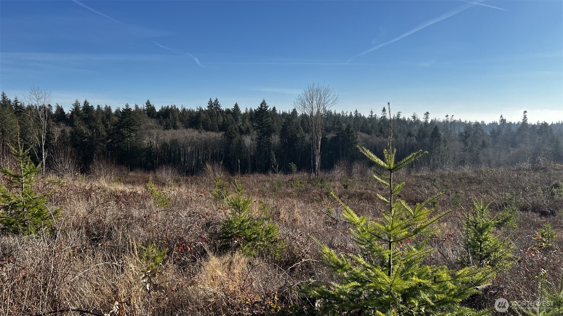 0 0 , Kingston, WA 98364