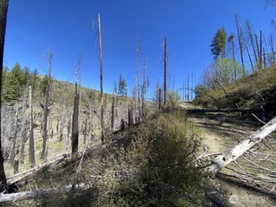 123 TBD Buzzard Lake Road , Okanogan, WA 98840 - Photo 11