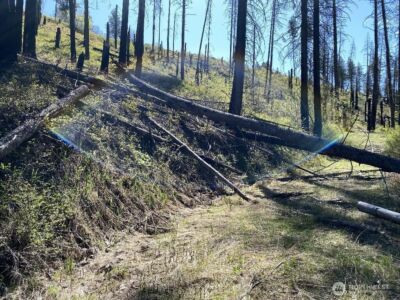 123 TBD Buzzard Lake Road , Okanogan, WA 98840 - Photo 12