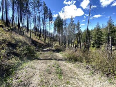 123 TBD Buzzard Lake Road , Okanogan, WA 98840 - Photo 13