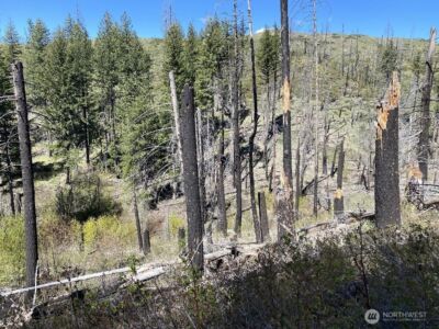 123 TBD Buzzard Lake Road , Okanogan, WA 98840 - Photo 14