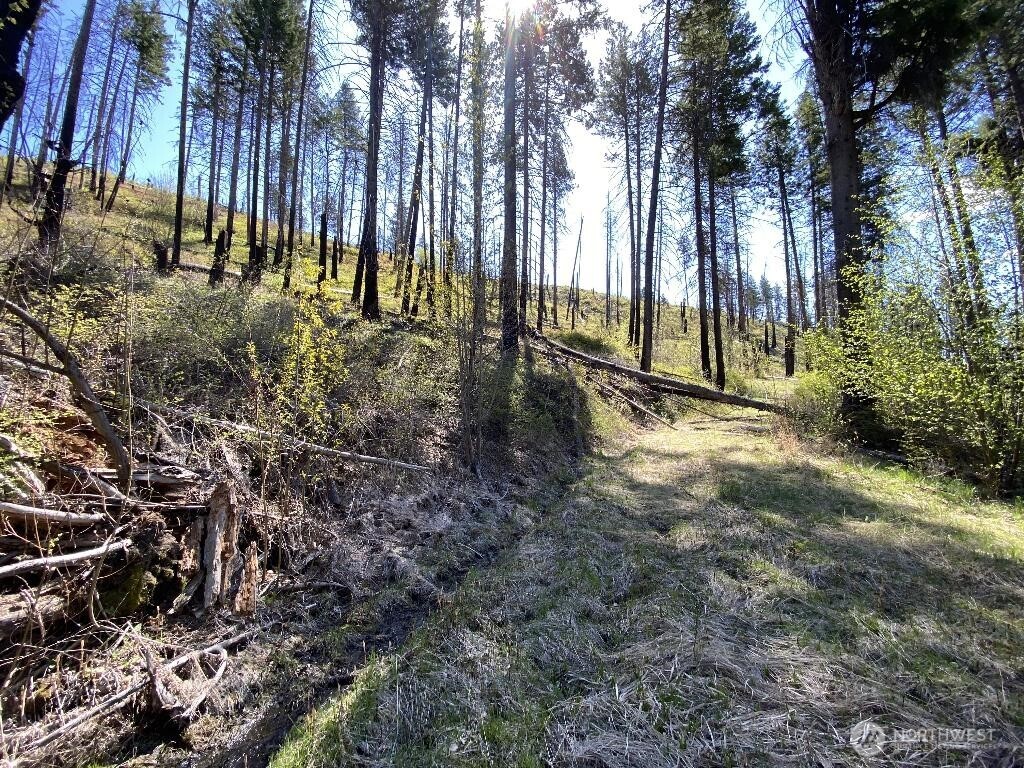 123 TBD Buzzard Lake Road , Okanogan, WA 98840