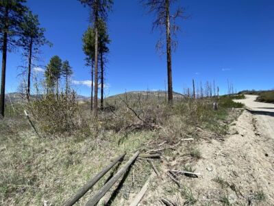 123 TBD Buzzard Lake Road , Okanogan, WA 98840 - Photo 2