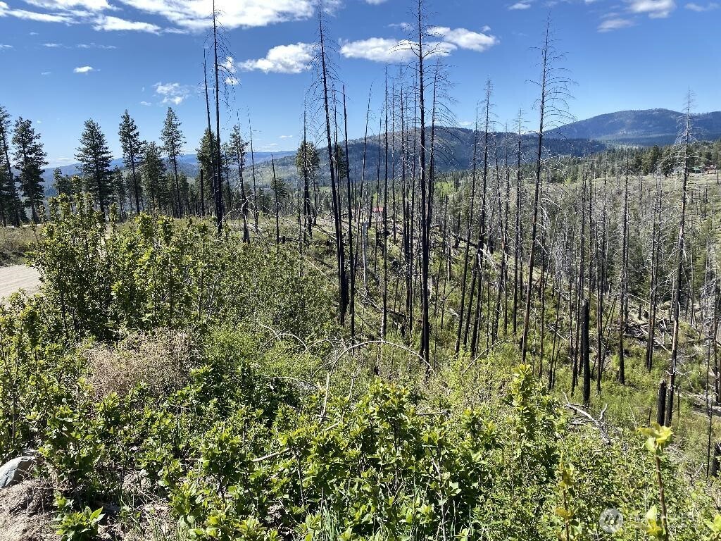 123 TBD Buzzard Lake Road , Okanogan, WA 98840