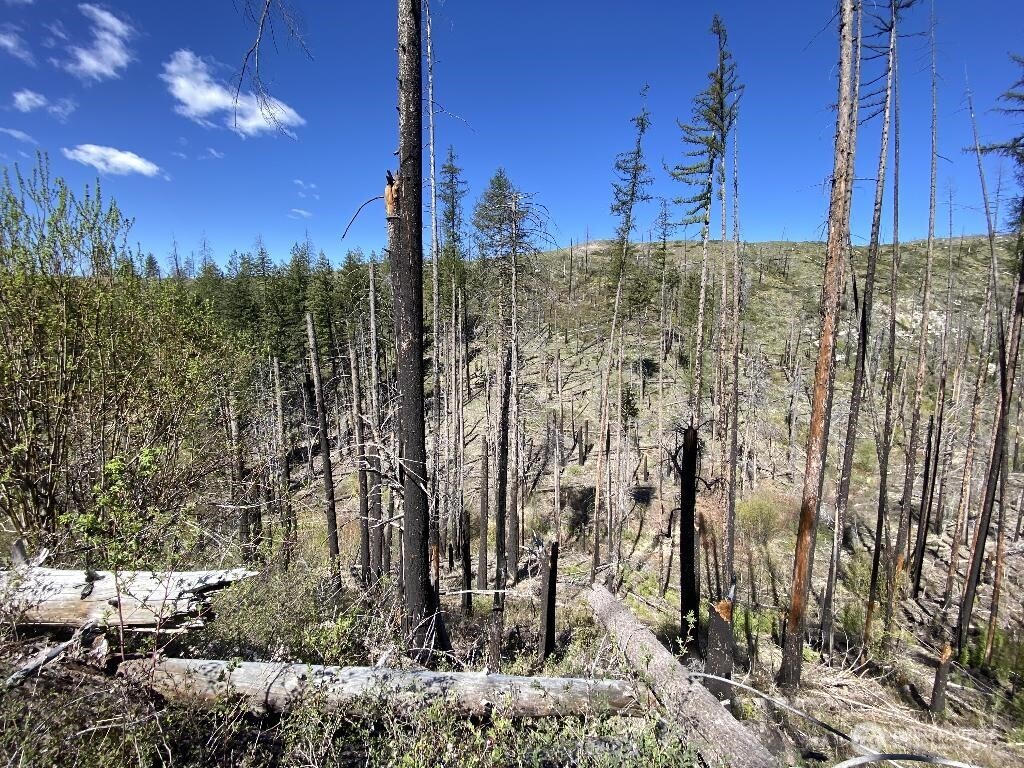 123 TBD Buzzard Lake Road , Okanogan, WA 98840