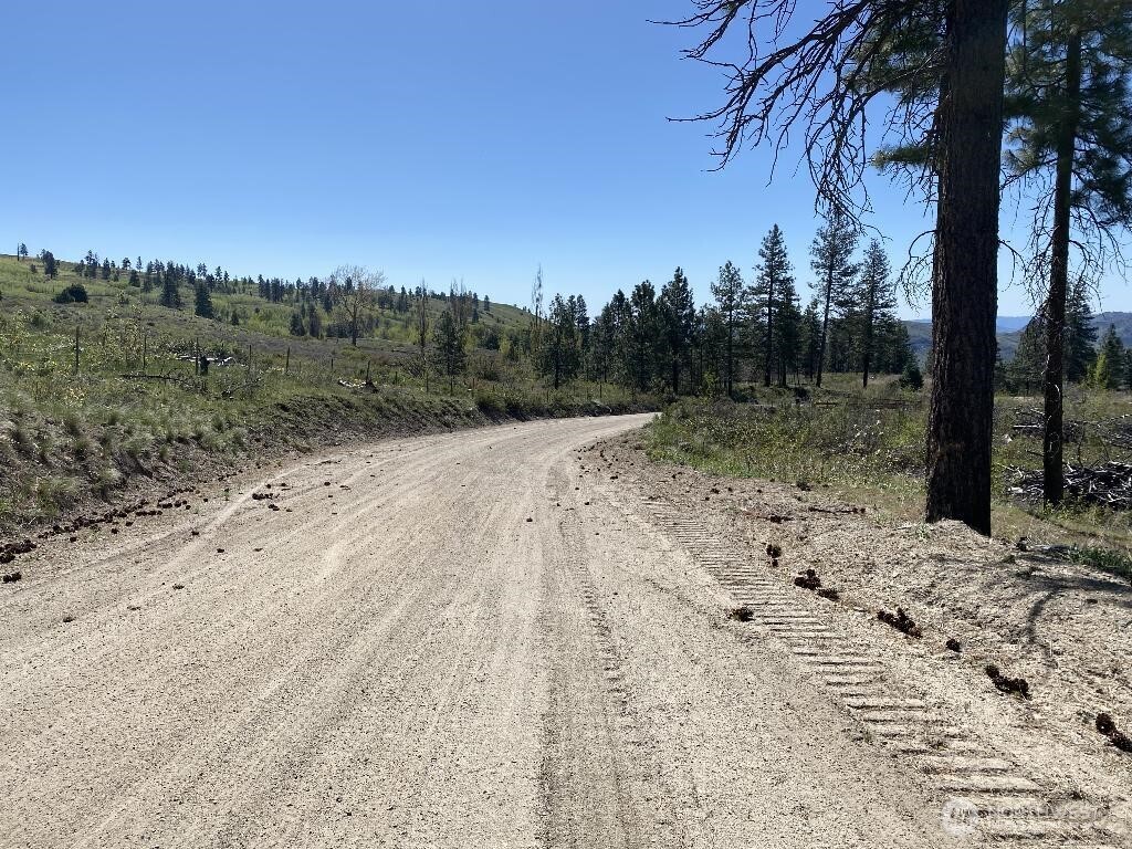 123 TBD Buzzard Lake Road , Okanogan, WA 98840