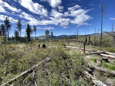 123 TBD Buzzard Lake Road , Okanogan, WA 98840 - Photo 6