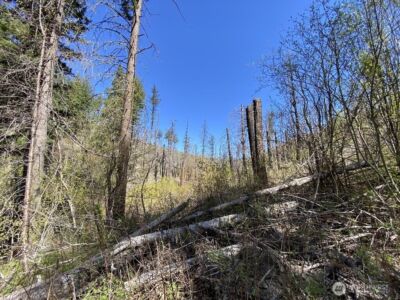123 TBD Buzzard Lake Road , Okanogan, WA 98840 - Photo 7