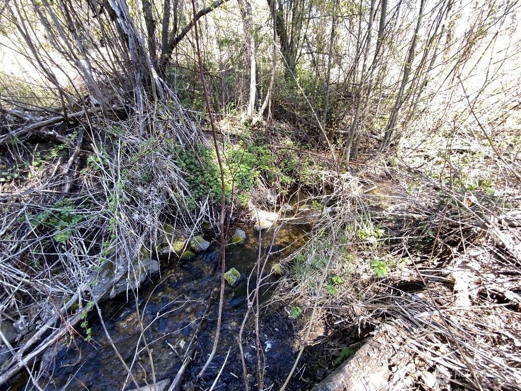 123 TBD Buzzard Lake Road , Okanogan, WA 98840