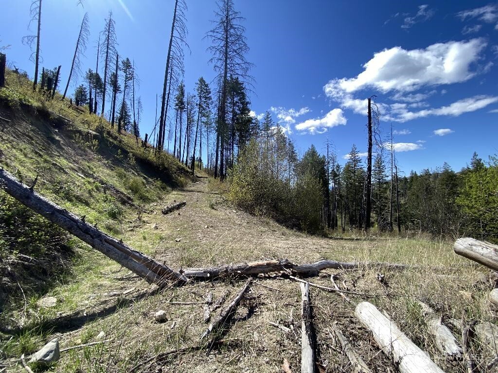 123 TBD Buzzard Lake Road , Okanogan, WA 98840
