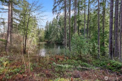 18512 Woodside Drive SE, Yelm, WA 98597 - Photo 6