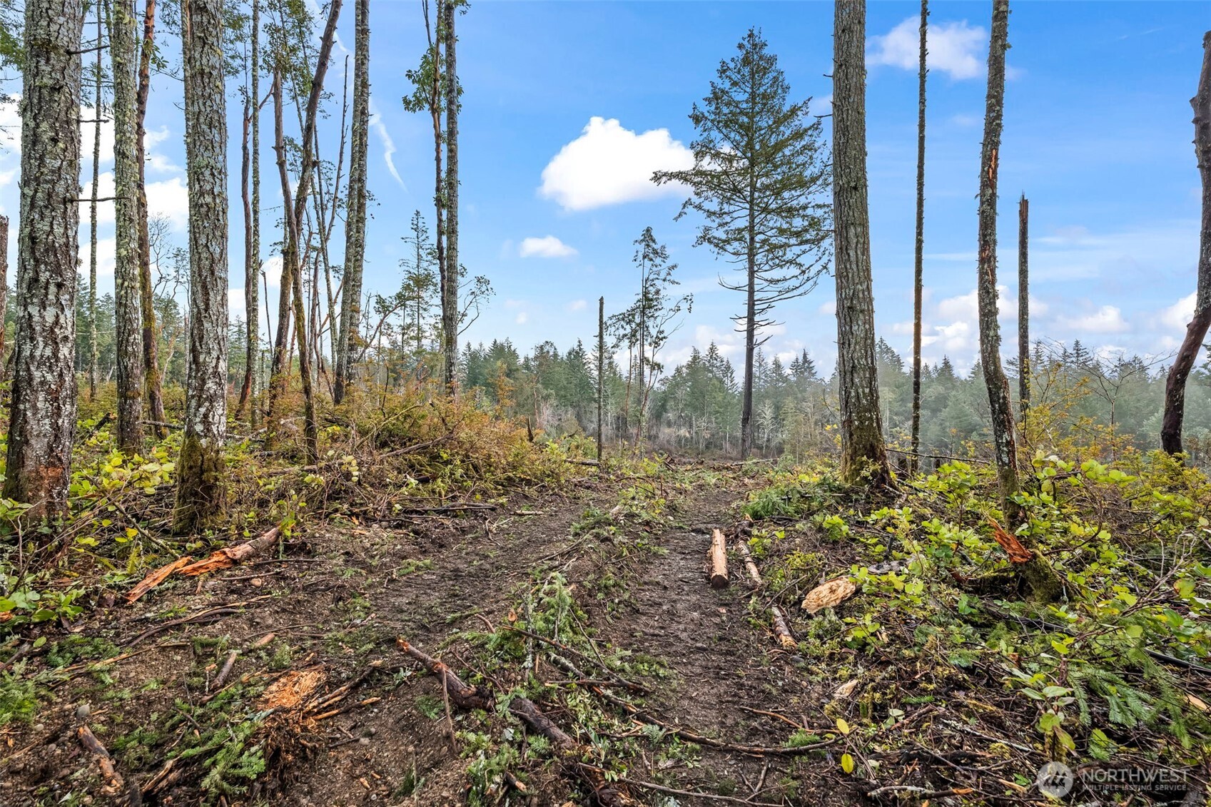 1809 208th Avenue SW, Lakebay, WA 98349