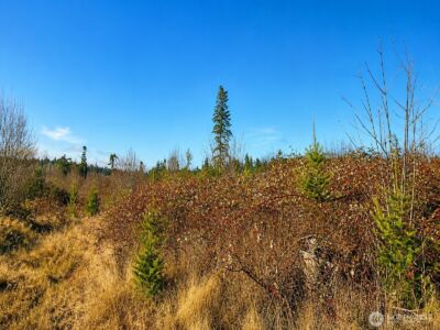 12426 NE Phillip Drive S, Kingston, WA 98346 - Photo 17
