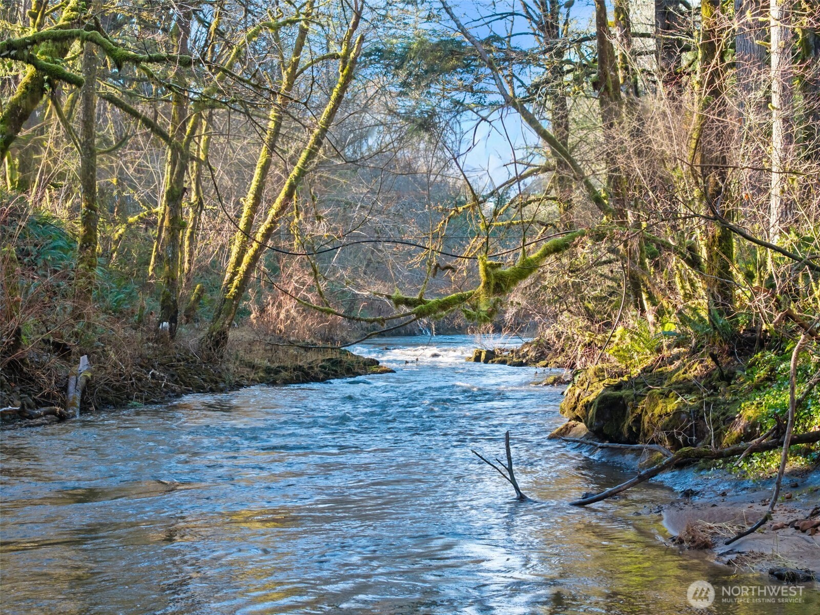 451 Elk Creek , Chehalis, WA 98532