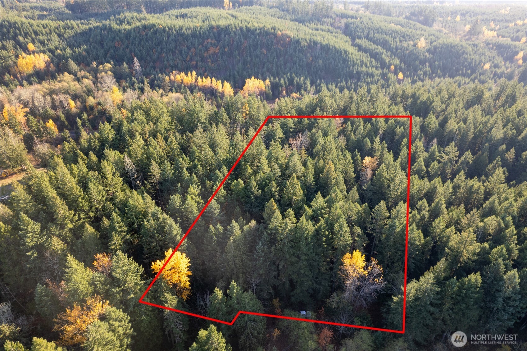 0 Bald Hills Road , Yelm, WA 98597
