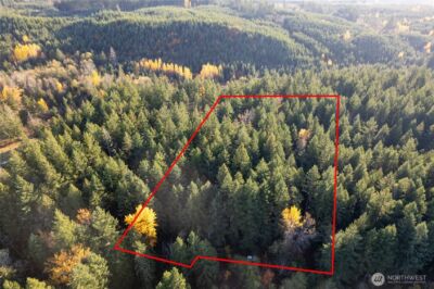 0 Bald Hills Road , Yelm, WA 98597 - Photo 2