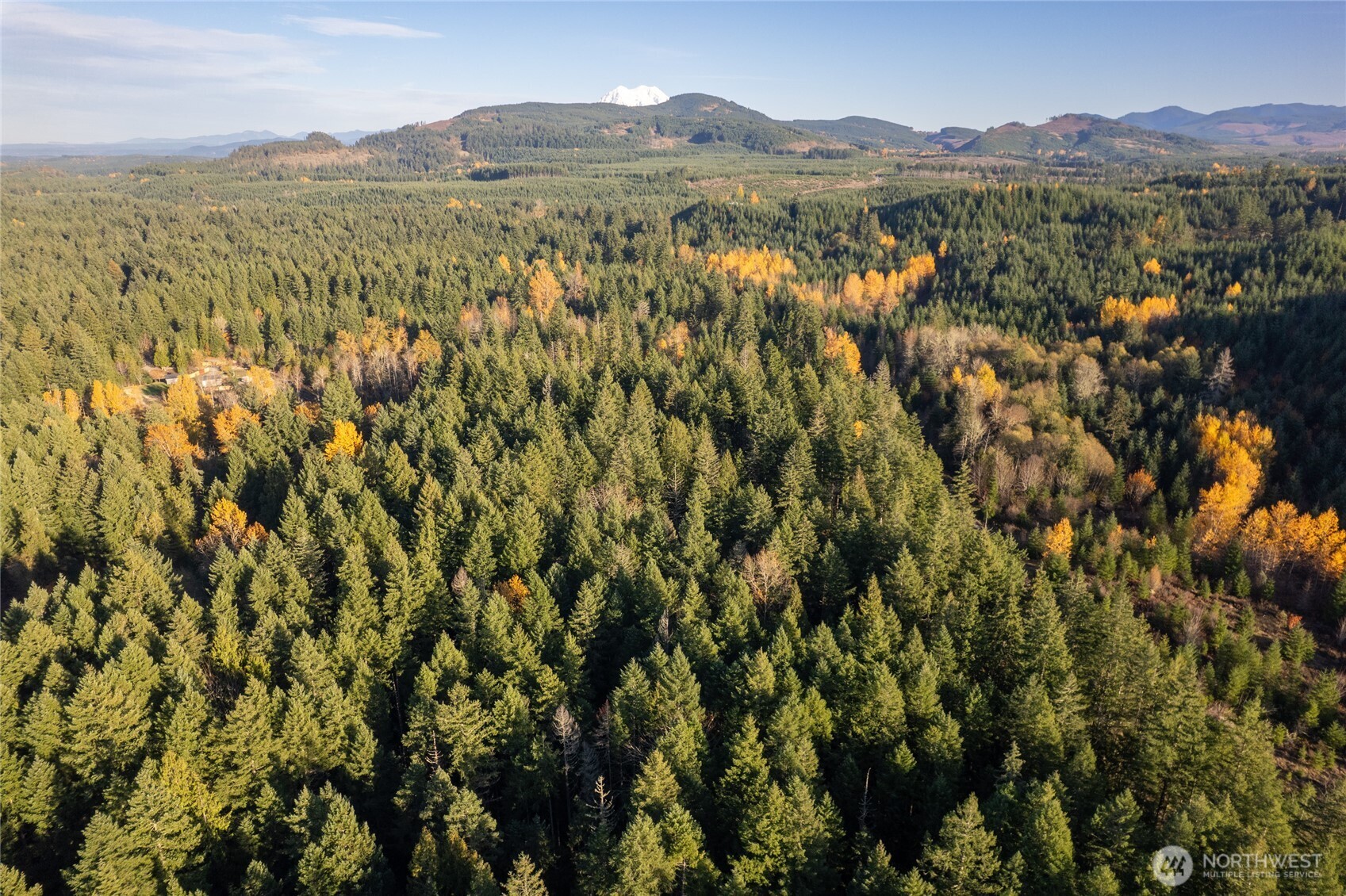 0 Bald Hills Road , Yelm, WA 98597