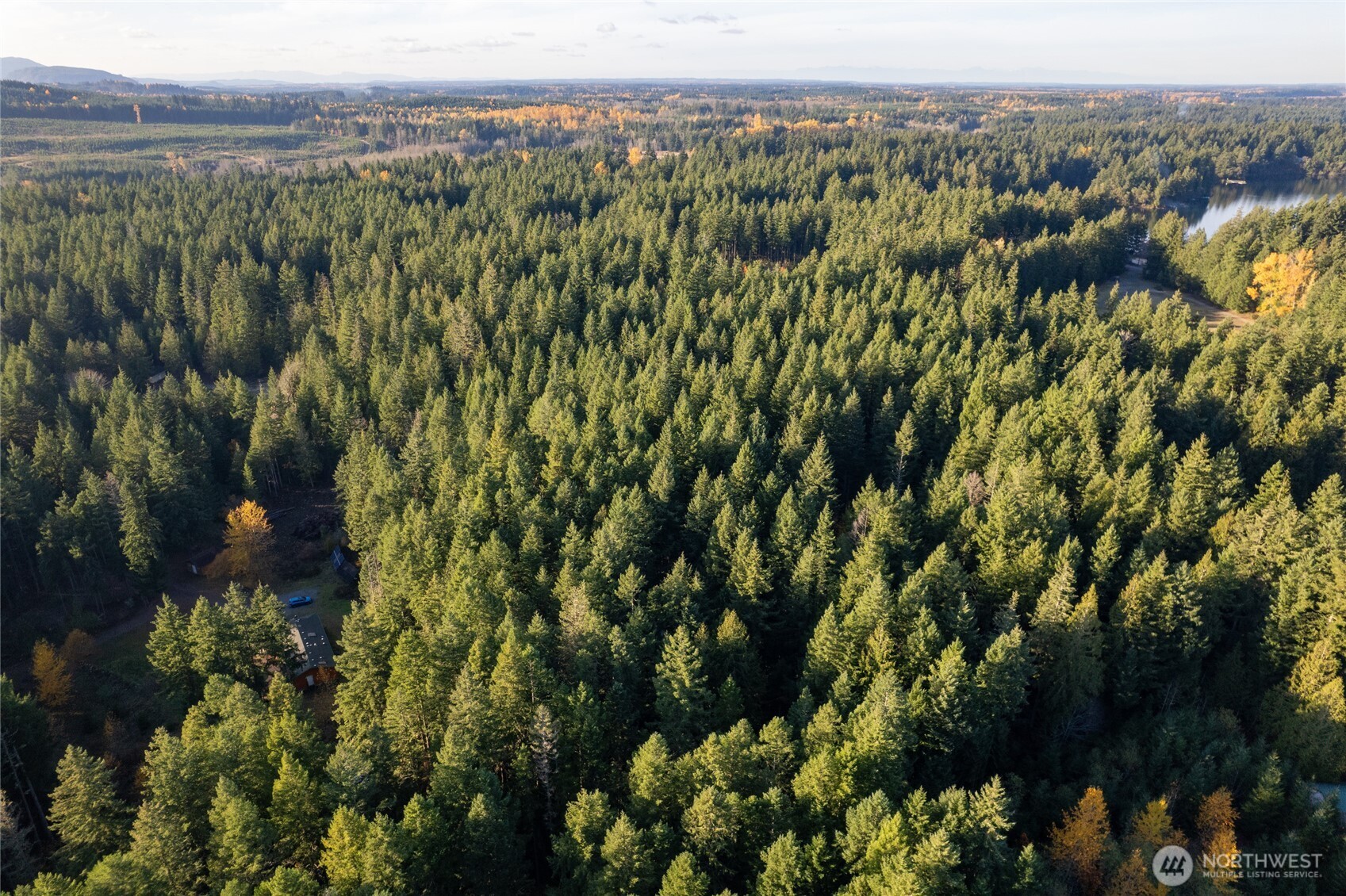 0 Bald Hills Road , Yelm, WA 98597